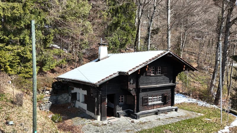 Charmant chalet avec vue, au cœur de la nature à Blonay (11)