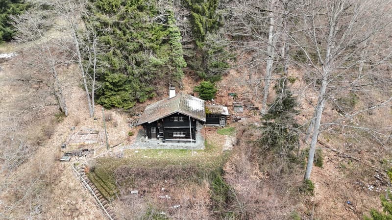 Charmant chalet avec vue, au cœur de la nature à Blonay (10)