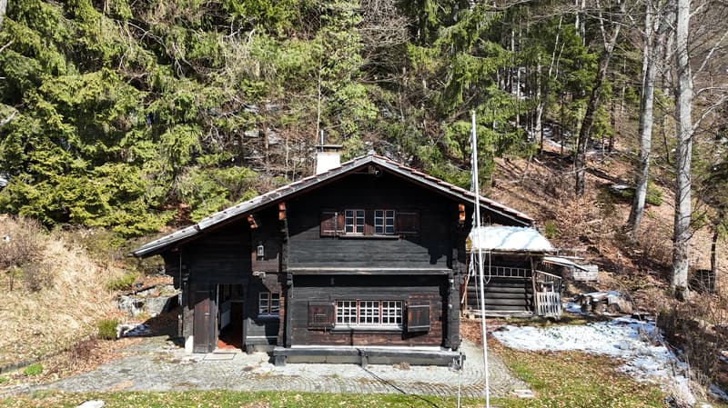 Charmant chalet avec vue, au cœur de la nature à Blonay (1)