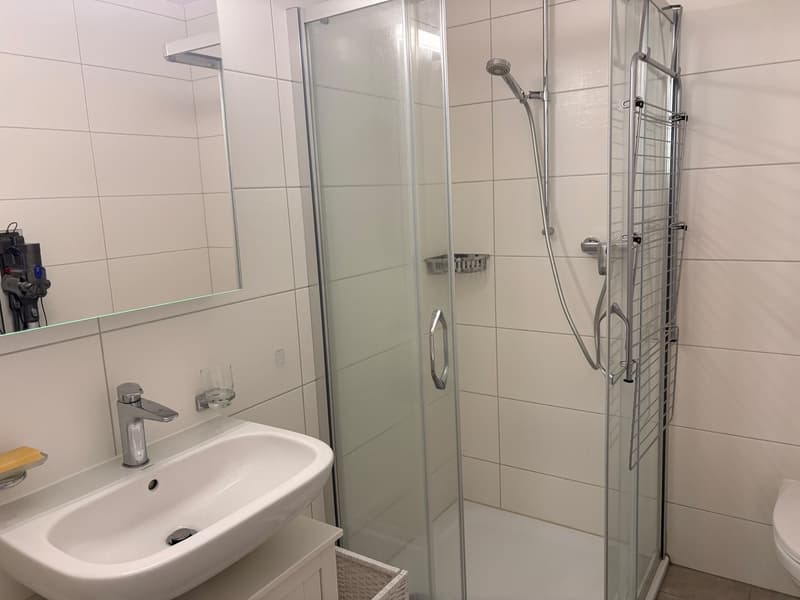 Av. des Alpes 17 - Ste-Croix - Studio meublé 1pce au 1er étage (Lot : 311) (6)