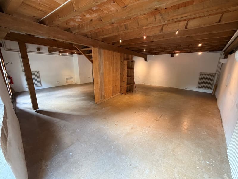 Galerie/local/atelier (4)