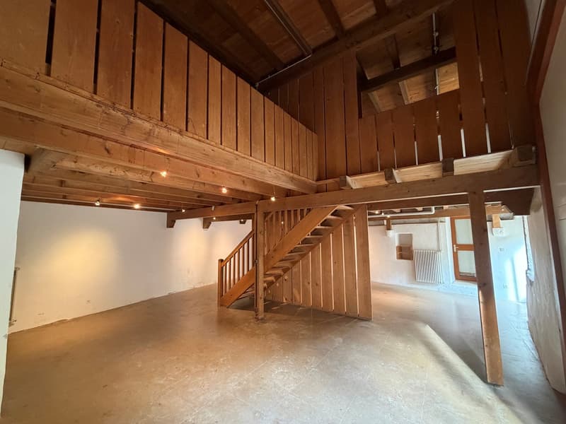 Galerie/local/atelier (3)
