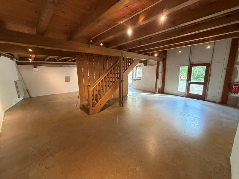 Galerie/local/atelier (5)