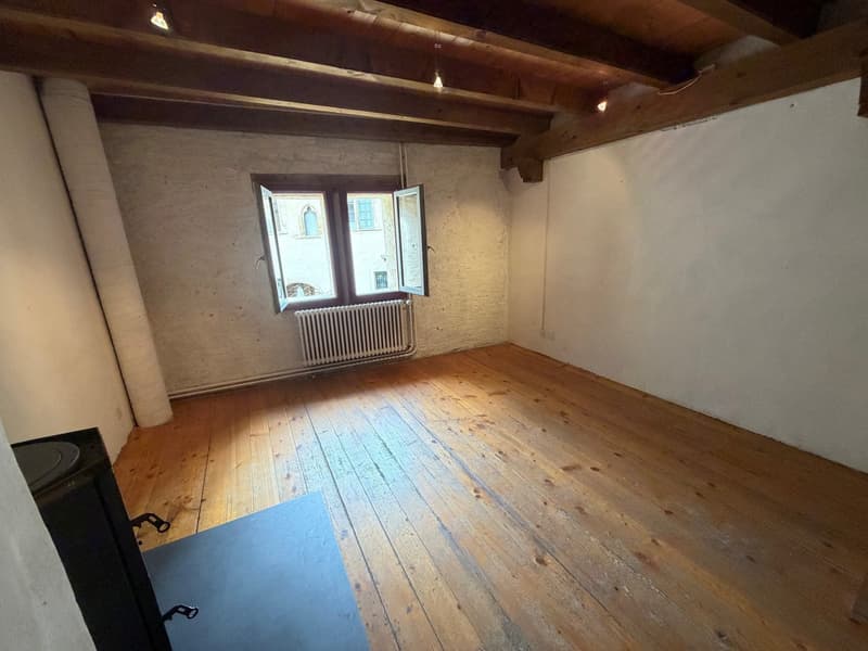 Galerie/local/atelier (16)
