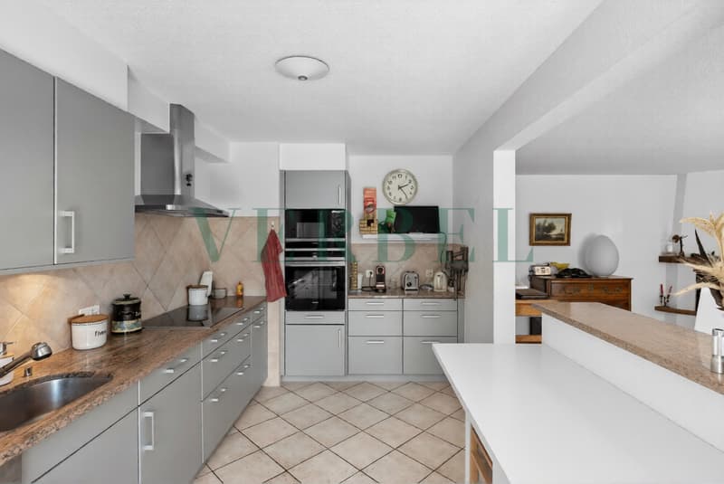Magnifique appartement de 4.5 pièces en rez-de-jardin/Vente en viager (3)