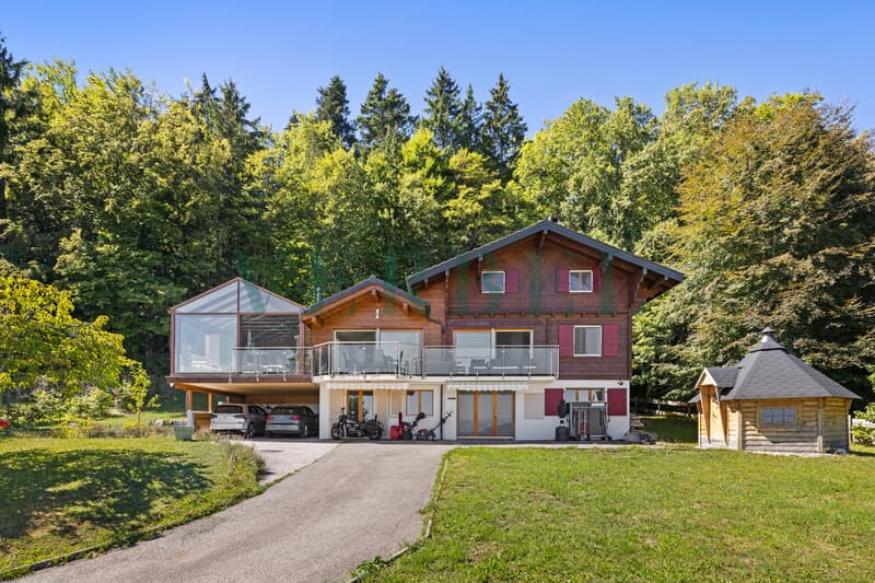 Villa-chalet : un cadre d'exception entre lac et montagnes (9)