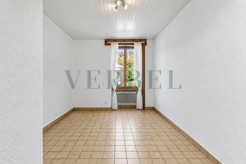 Magasin avec bureau au coeur du village (9)