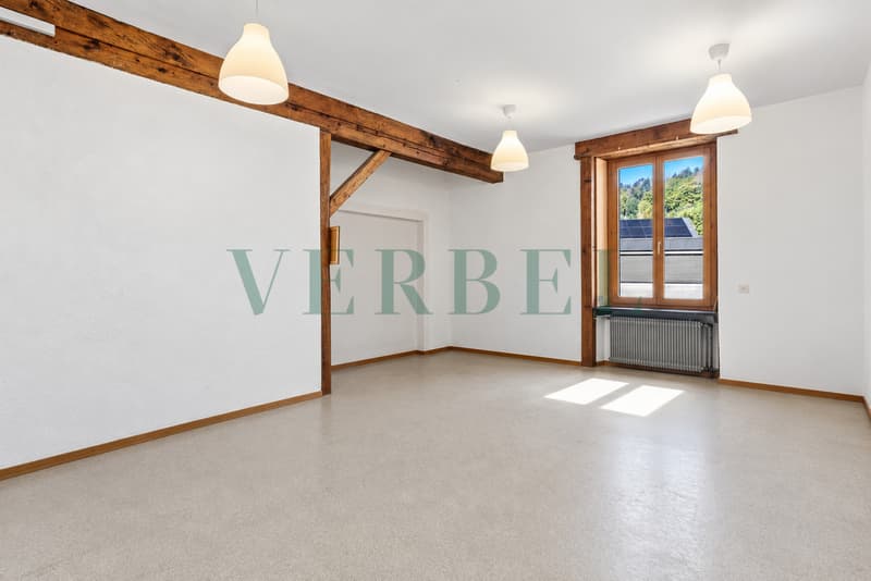 Magasin avec bureau au coeur du village (7)