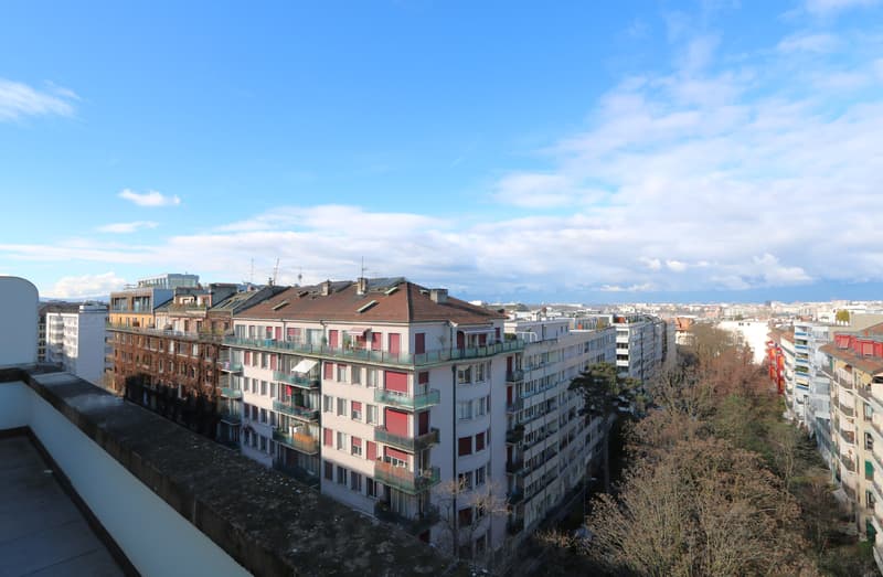 Appartement de 4.5 pièces avec vue imprenable et balcon à Champel-Florissant (1)