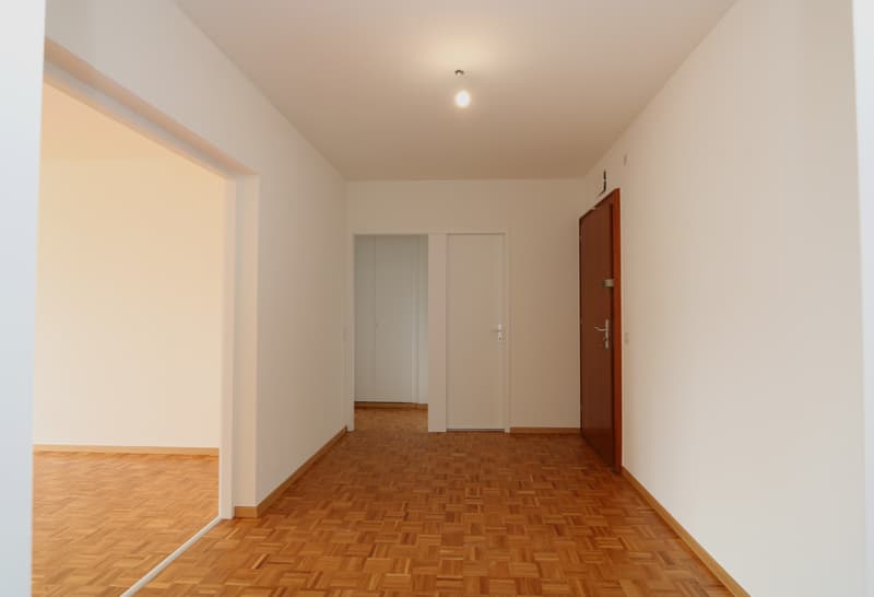 Appartement de 6,5 pièces avec 2 loggias à Versoix (12)