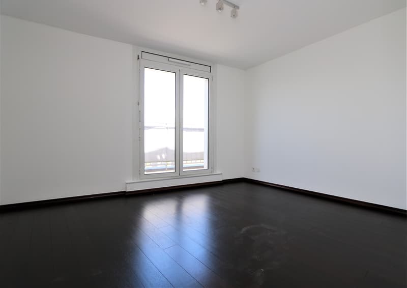 Appartement duplex en attique de 4,5 pièces avec balcon et terrasse en toiture aux Acacias (3)