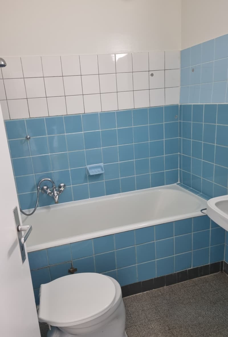 Appartement de 3 pièces à Plainpalais (6)