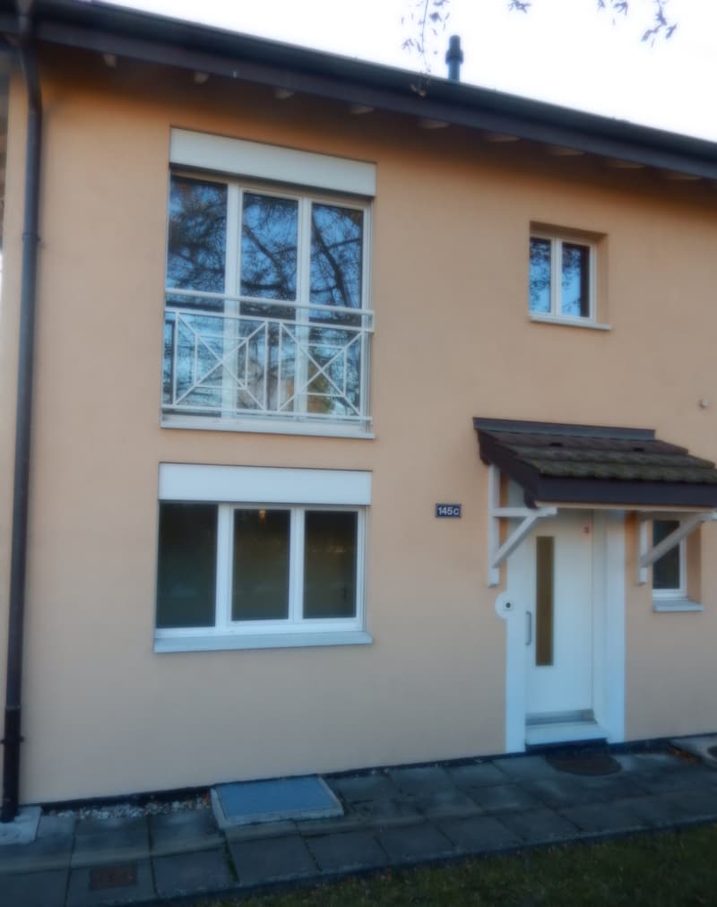 Villa jumelée de 6 pièces avec terrasse et jardin à Bellevue (12)