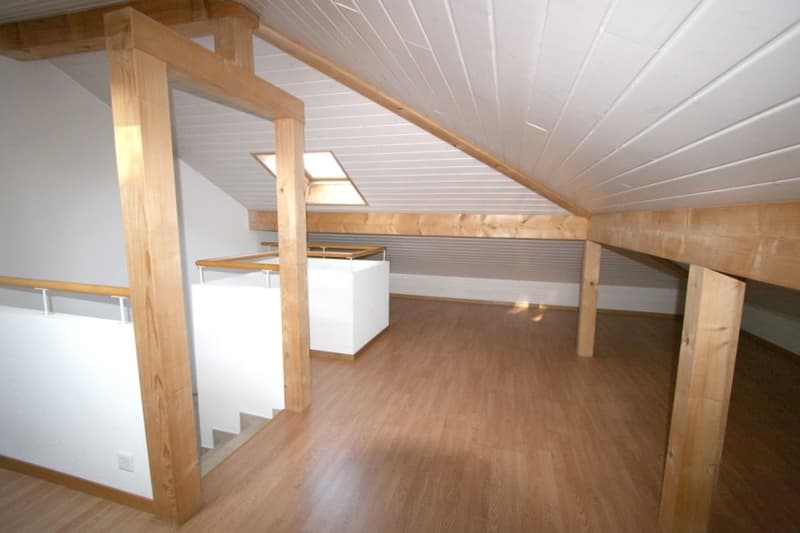 Villa jumelée de 6 pièces avec terrasse et jardin à Bellevue (7)
