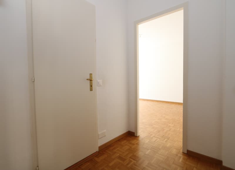 Appartement de 2 pièces à Plainpalais (7)