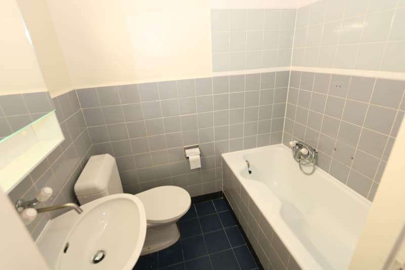 Appartement de 2 pièces à Plainpalais (8)
