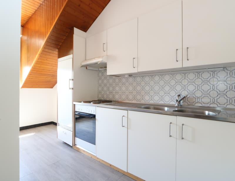 Appartement de 3 pièces à Plainpalais (4)
