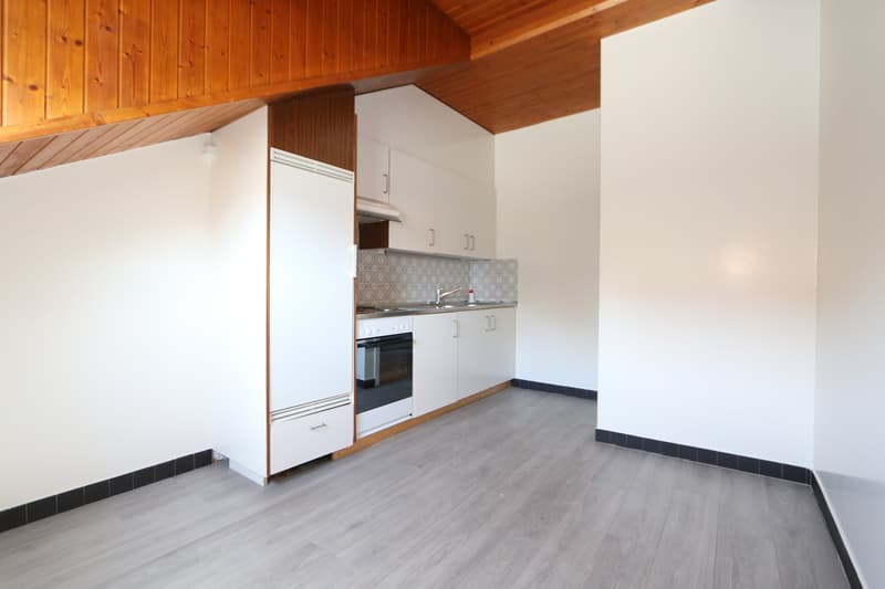 Appartement de 3 pièces à Plainpalais (3)