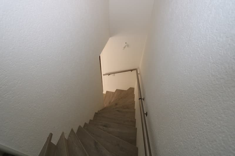 Appartement duplex de 6 pièces en attique à Chêne-Bougeries (7)