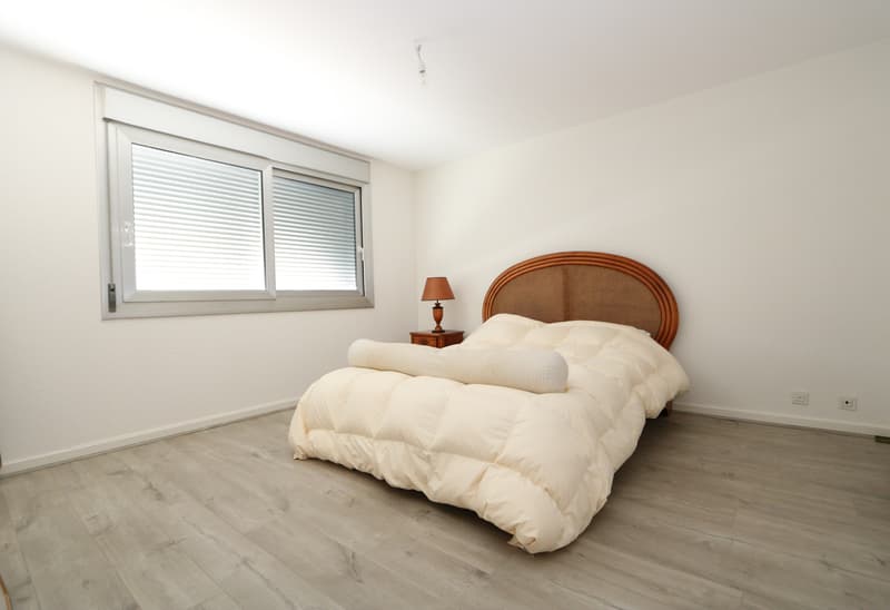Appartement duplex de 6 pièces en attique à Chêne-Bougeries (6)