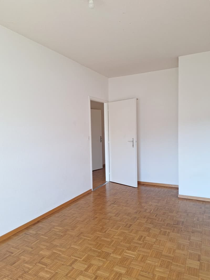 Appartement de 4 pièces avec balcon à Plainpalais (7)