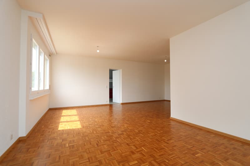 Appartement de 6,5 pièces avec 2 loggias à Versoix (3)