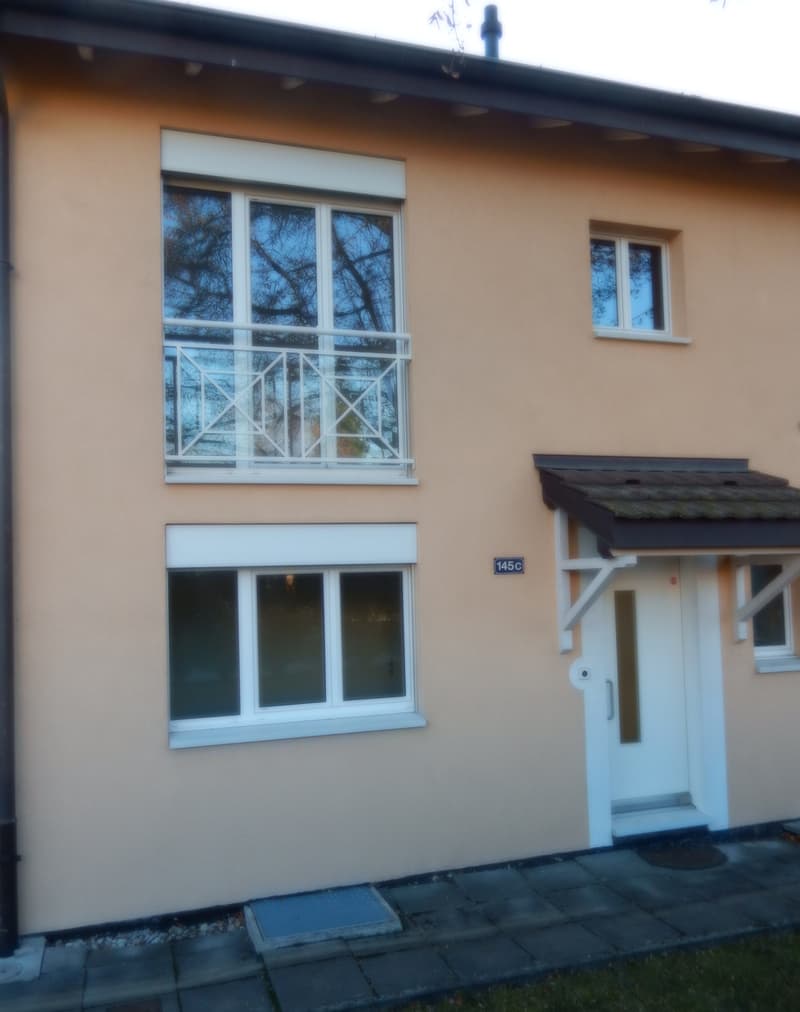 Villa jumelée de 6 pièces avec terrasse et jardin à Bellevue (12)