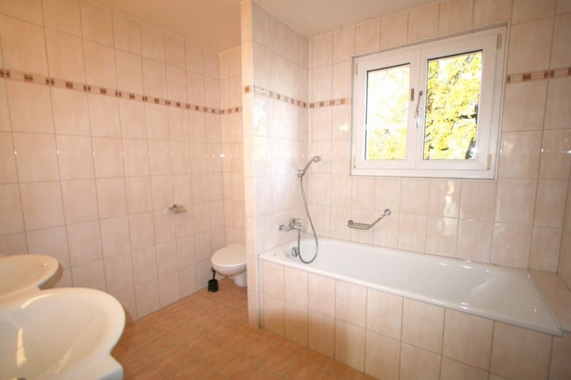 Villa jumelée de 6 pièces avec terrasse et jardin à Bellevue (9)