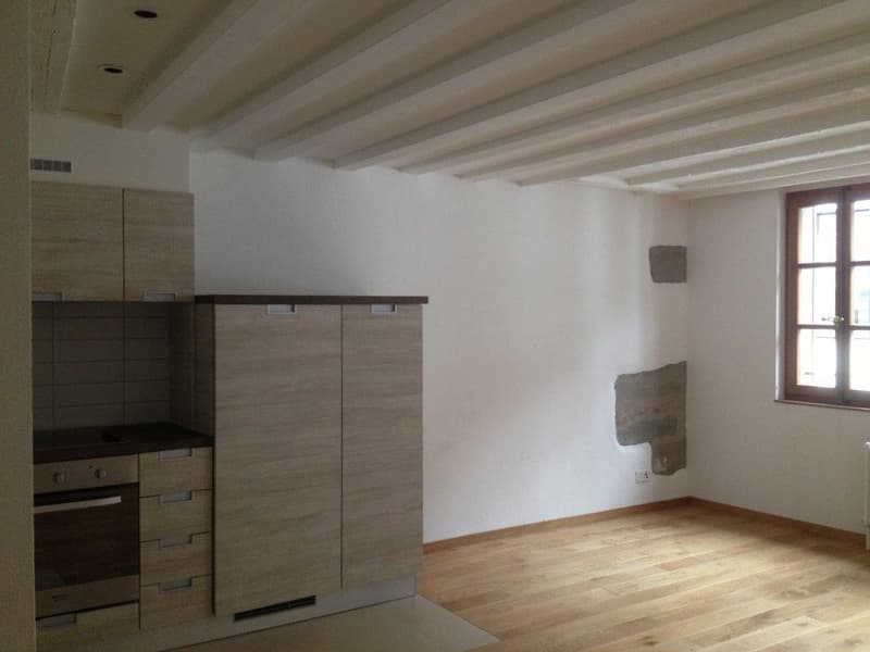 Appartement de 2,5 pièces au Centre-ville (2)
