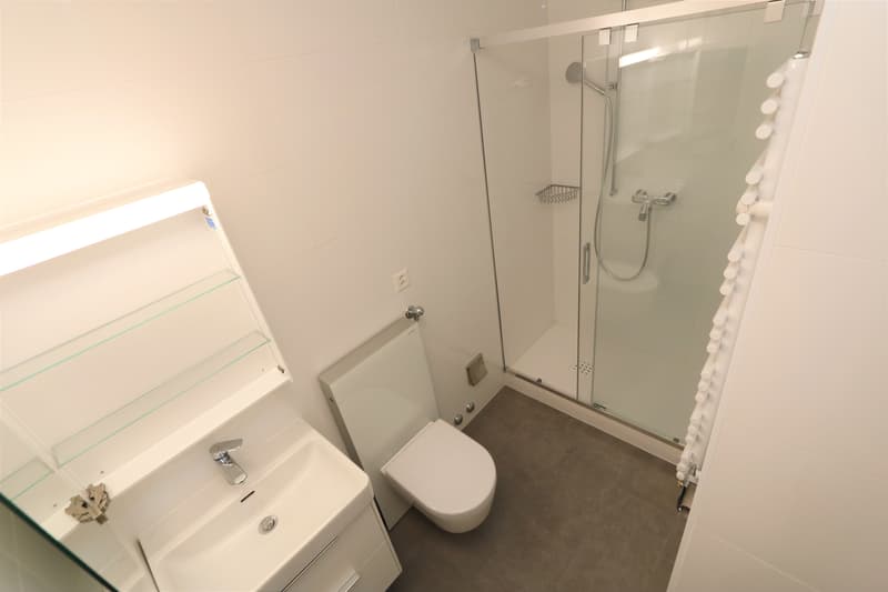 Appartement de 2 pièces à Champel (8)