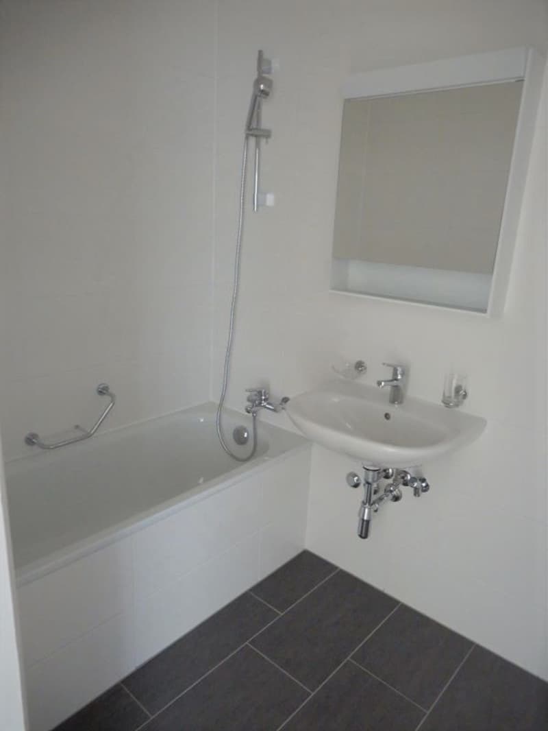 Appartement de 5 pièces avec balcon à Vernier (8)