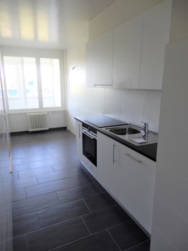 Appartement de 5 pièces avec balcon à Vernier (4)