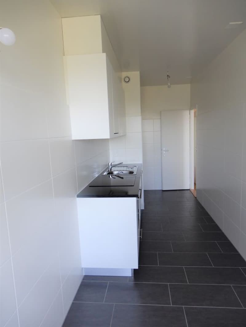 Appartement de 5 pièces avec balcon à Vernier (3)