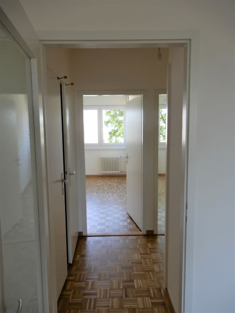 Appartement de 5 pièces avec balcon à Vernier (5)