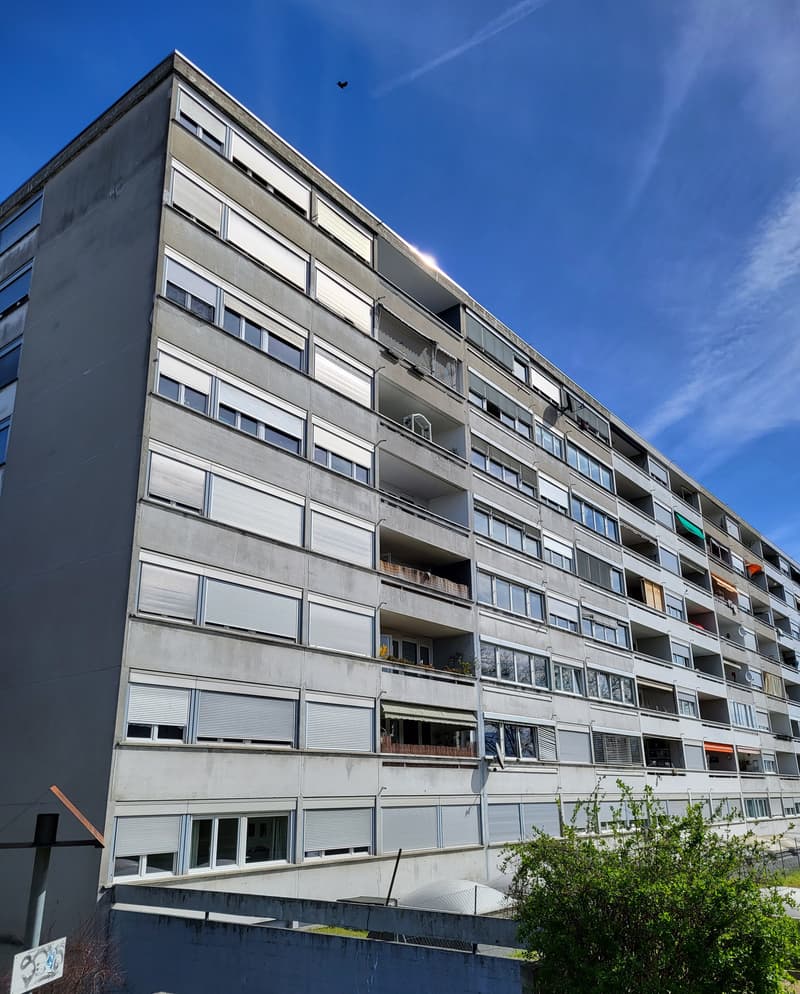 Appartement de 5 pièces avec balcon à Vernier (1)