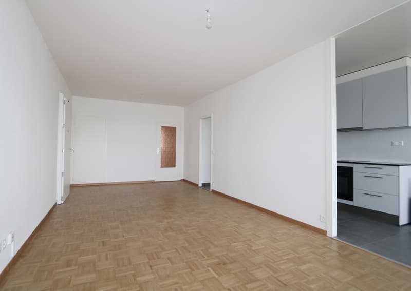 Appartement traversant de 5 pièces avec Loggia (1)