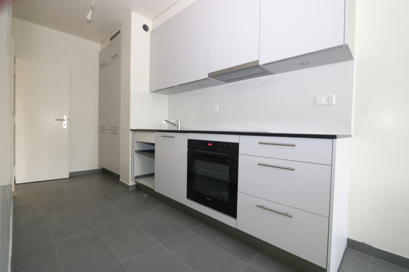 Appartement traversant de 5 pièces avec Loggia à Vernier (3)