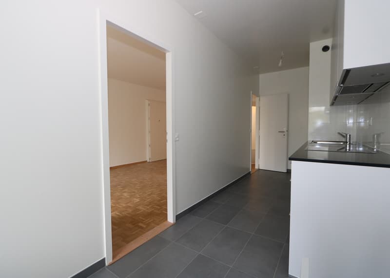 Appartement traversant de 5 pièces avec Loggia à Vernier (2)