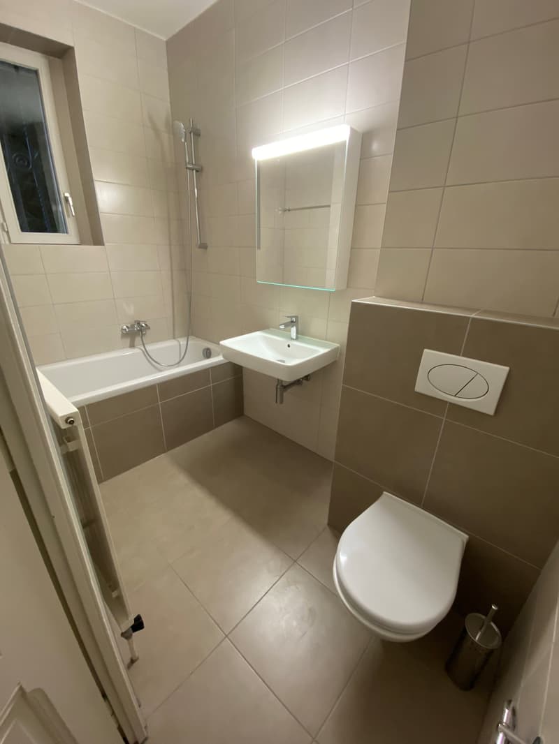 Appartement de 3 pièces avec jardinet à la Servette (8)