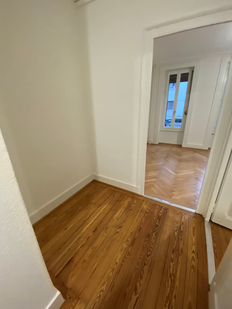 Appartement de 3 pièces avec jardinet à la Servette (5)