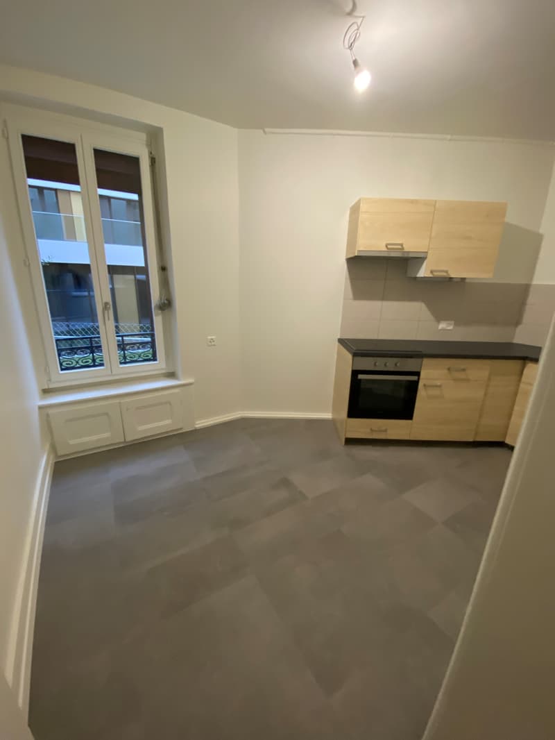 Appartement de 3 pièces avec jardinet à la Servette (3)