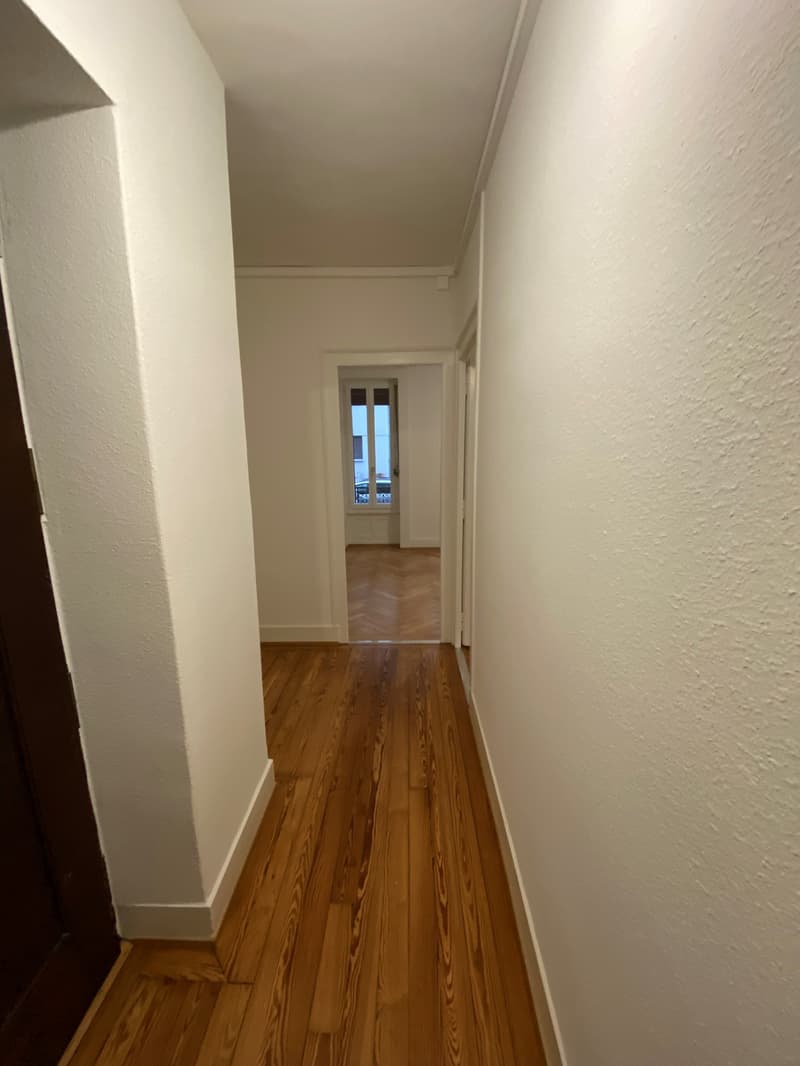 Appartement de 3 pièces avec jardinet à la Servette (10)