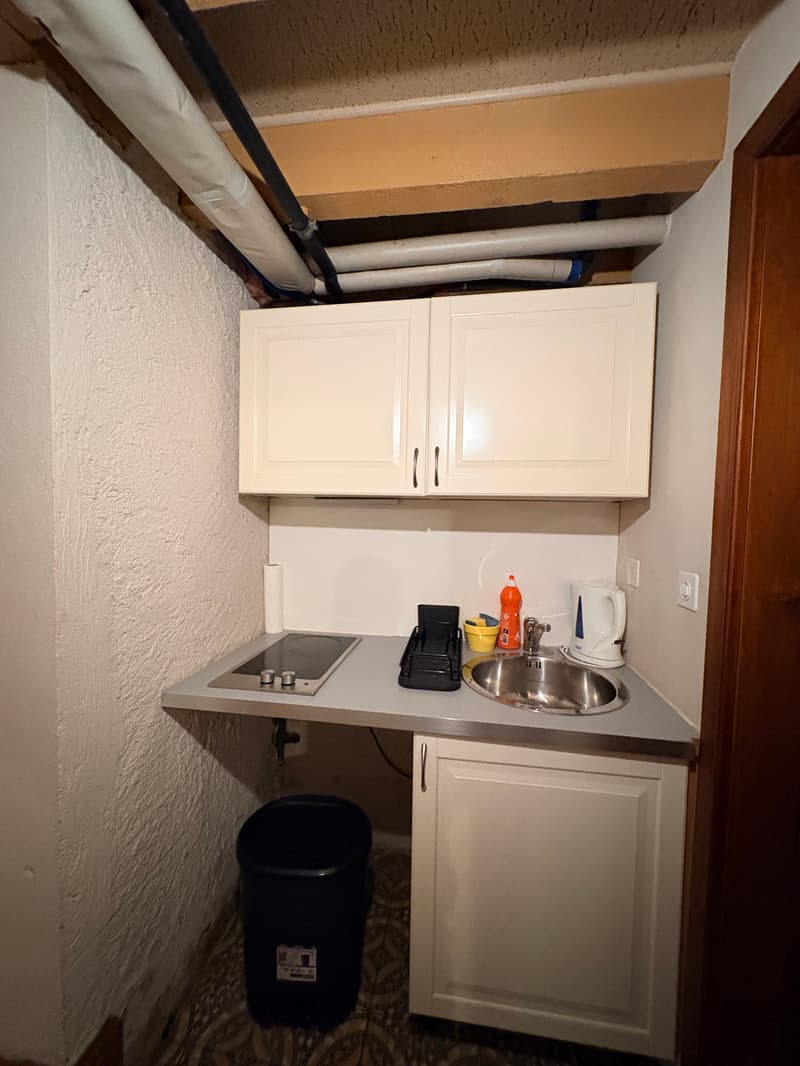 Studio meublé dans une villa sécurisée à Plan-Les-Ouates (3)