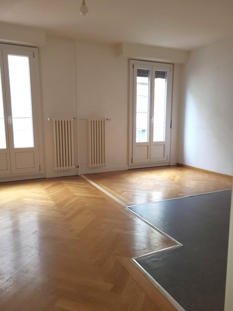 Appartement de 2 pièces proche de la gare Cornavin (3)