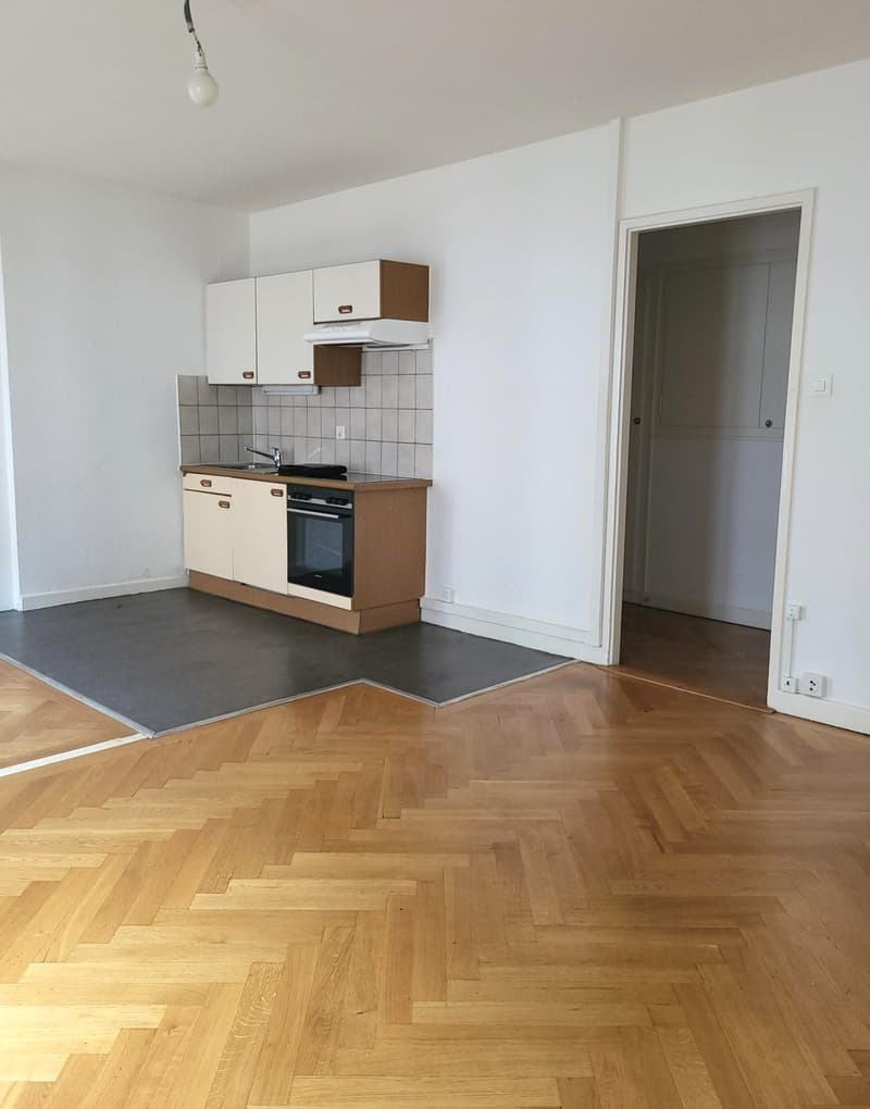 Appartement de 2 pièces proche de la gare Cornavin (2)