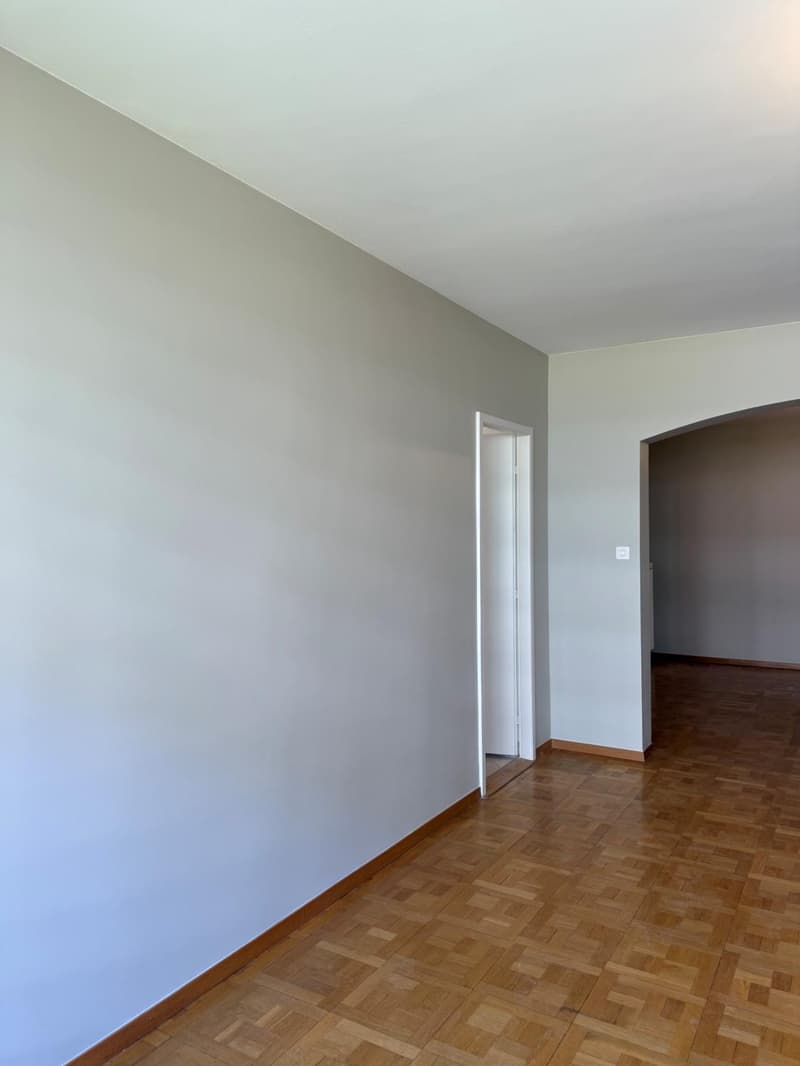GRAND 4.5 PIECES AU CALME A FLORISSANT (7)
