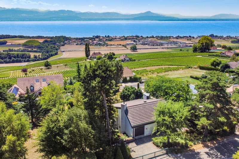 Magnifique villa individuelle meublée avec splendide vue sur le lac à Féchy (2)