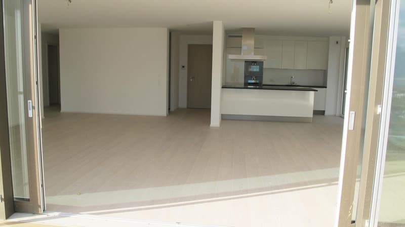 Appartement de 4.5 pièces avec vue plongeante sur le lac et les Alpes (10)