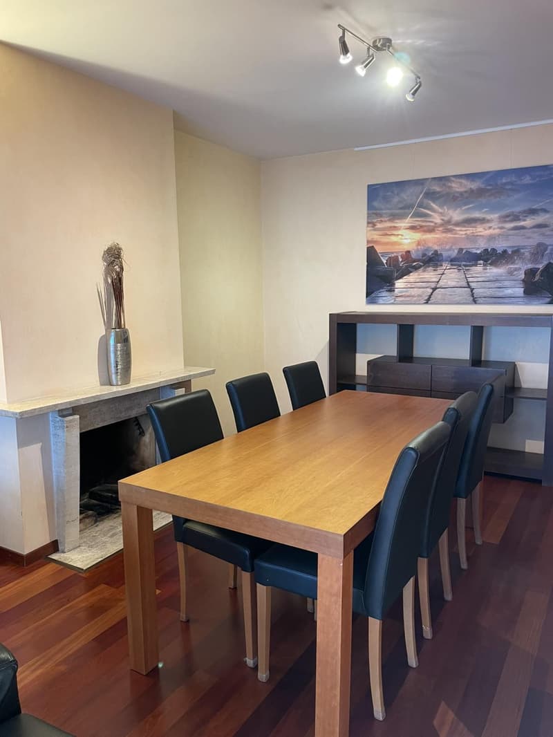 BEL APPARTEMENT MEUBLE 4.5 PIECES CHAMPEL AU CALME (8)