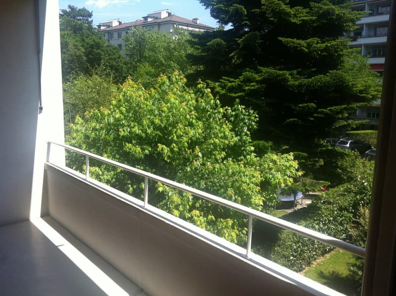 BEL APPARTEMENT MEUBLE 4.5 PIECES CHAMPEL AU CALME (9)